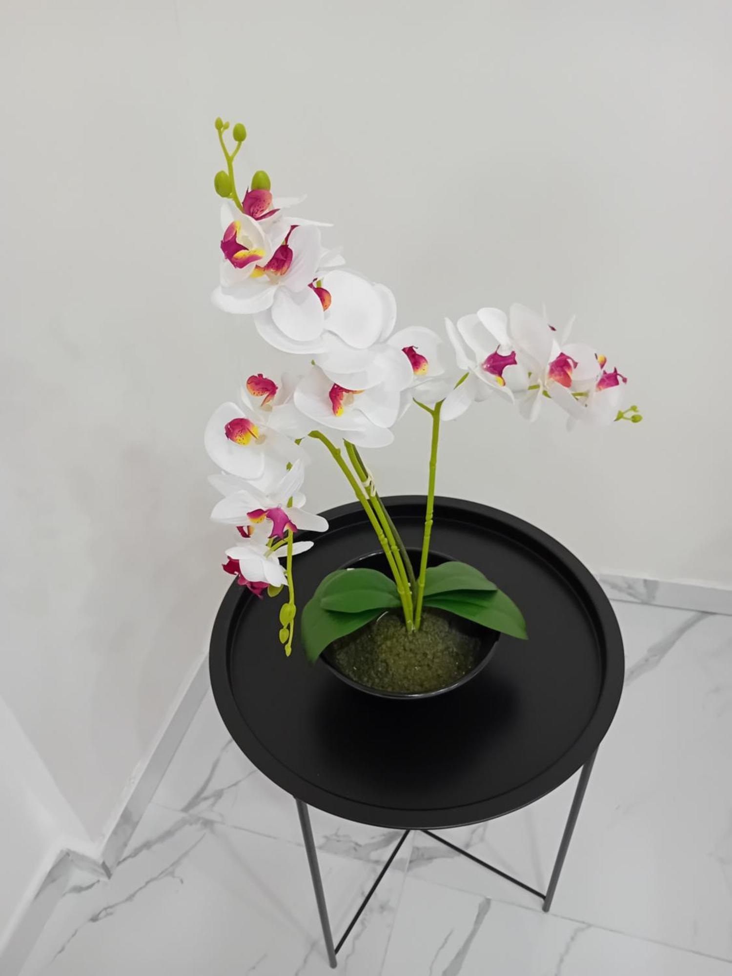 Catalea Bed & Breakfast Napoli Ngoại thất bức ảnh